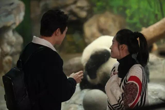 长隆半价|像某对明星CP一样约会吧