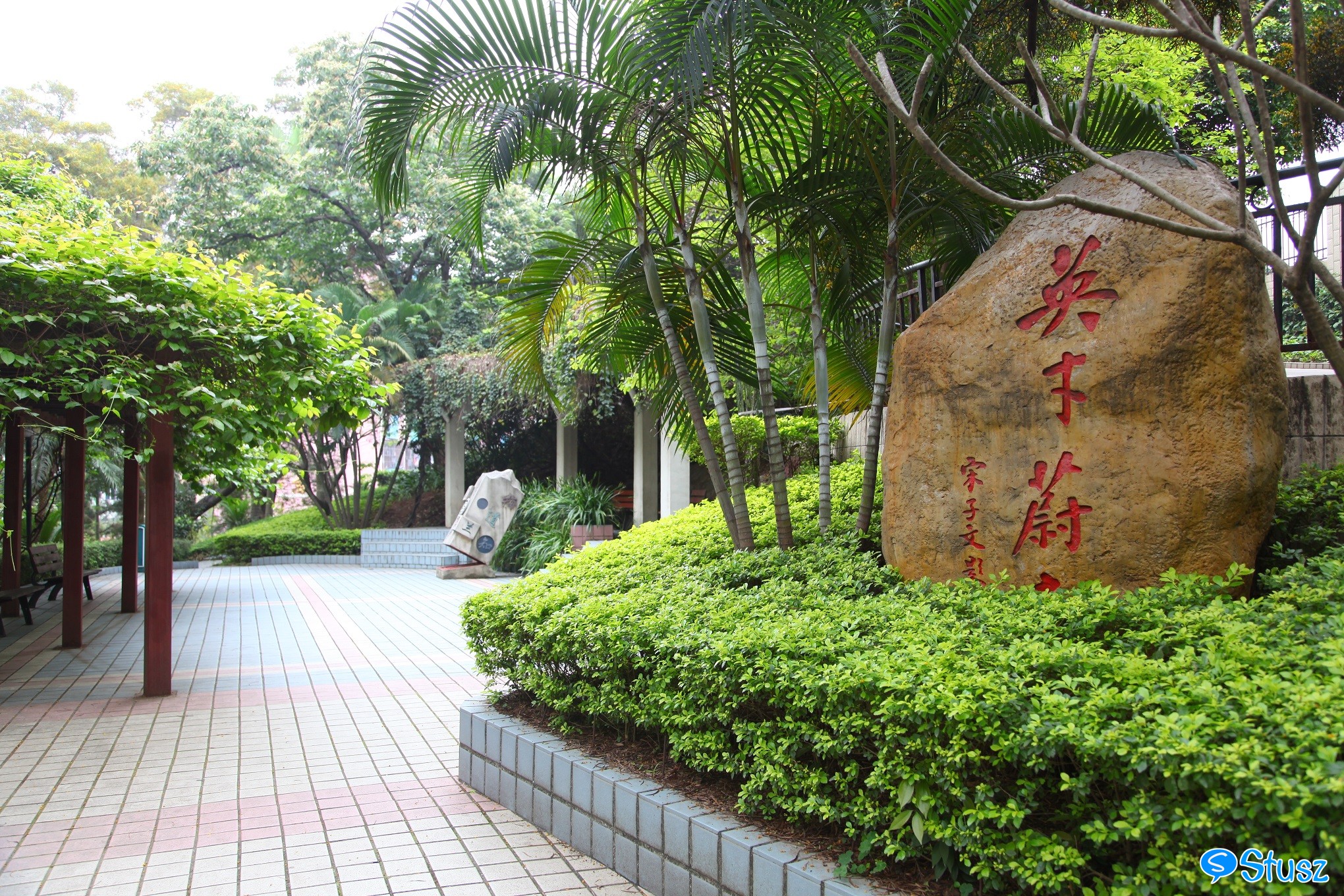 Stusz独家:观澜中学,现代化的百年老校