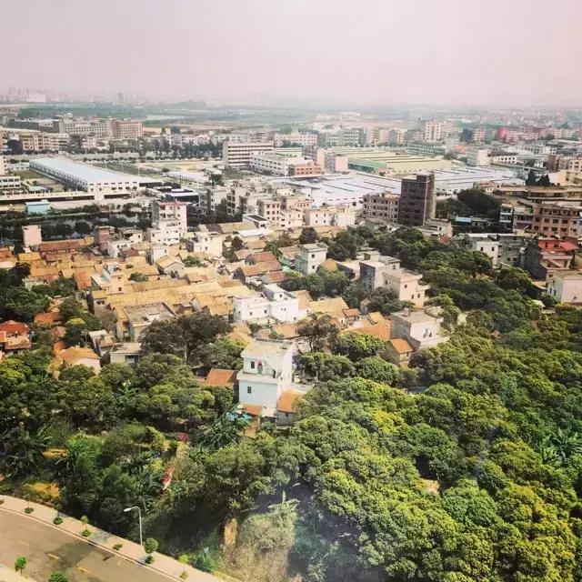 东坑远远不止*身卖**节，“地头蛇”带你一天玩尽东坑！