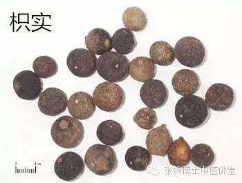 半夏泻心汤加竹茹枳实治偏头痛,枳实能治偏头痛