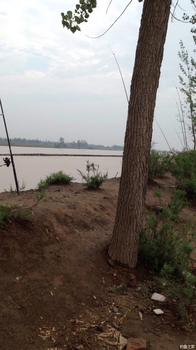 宁夏人钓鱼,黄河钓鱼的人多吗