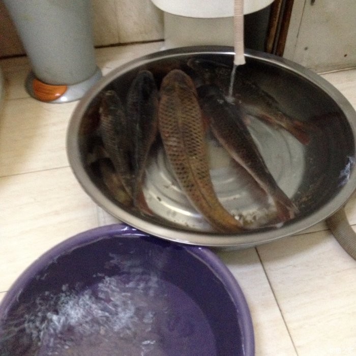 宁夏人钓鱼,黄河钓鱼的人多吗