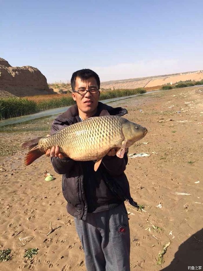 宁夏人钓鱼,黄河钓鱼的人多吗