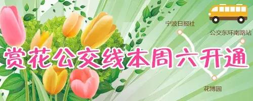 这个周末带孩子去玩,赏花春游好去处花博园