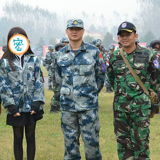 太阳的后裔到底讲了个啥,太阳的后裔是维和部队吗