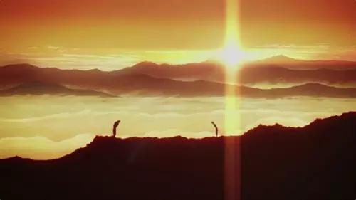 日本和动物有关的动画片,看小动物的动画片