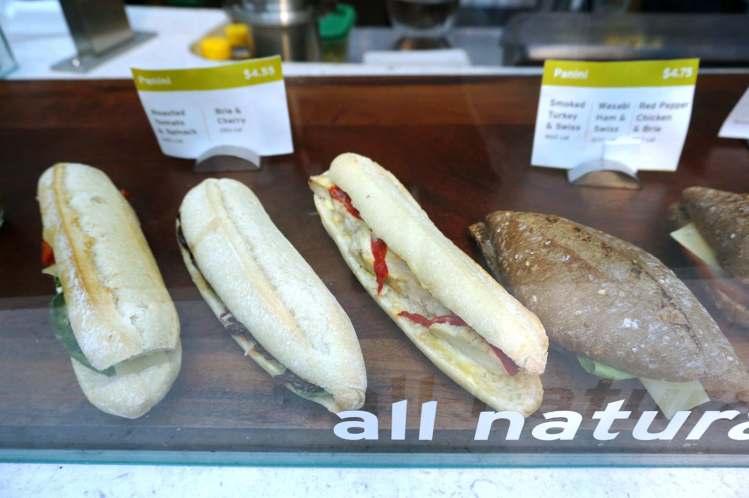 芝加哥一日游最佳路线,芝加哥坐船攻略旅游路线