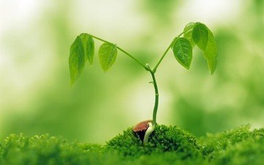 cdc性传播疾病治疗指南,std性传播疾病