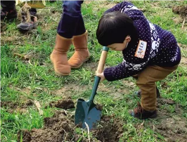 成都11月1日活动,11月9日成都活动