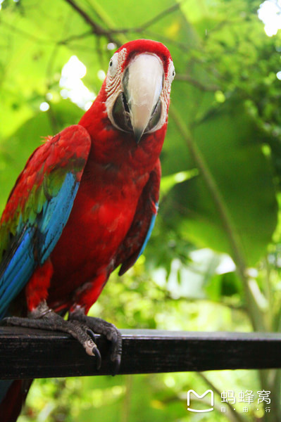 一起去三亚旅游就是最好的陪伴,三亚攻略自由行情侣