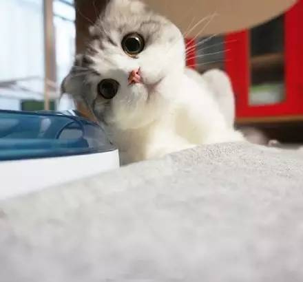 比较靠谱的香港留学 (香港医学留学)