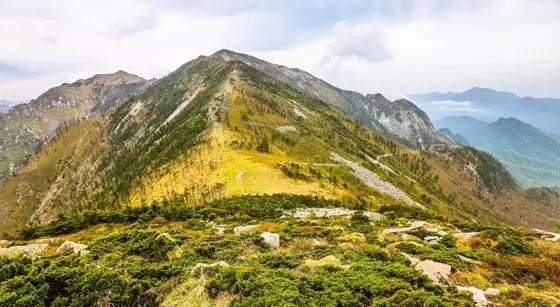 当有人问你你家哪里的该怎么回答,当别人问你哪里来的微信