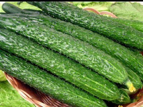 婴幼儿夏天什么治痱子好,夏天祛痱子最有效的方法