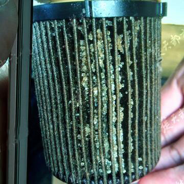 惊呆！发动机被加白糖，损失上万！