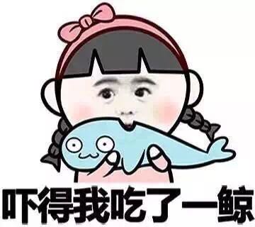 专题|科普下国民老公思聪的的爱好之—：弓射