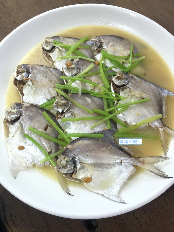 唐朝人为什么要将鲳鱼称为“狗瞌睡鱼”？六种鲳鱼你认识几种？