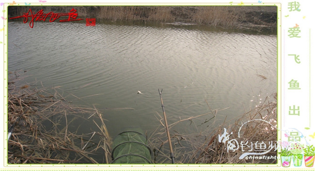 2016之我爱飞鱼觅得好钓点