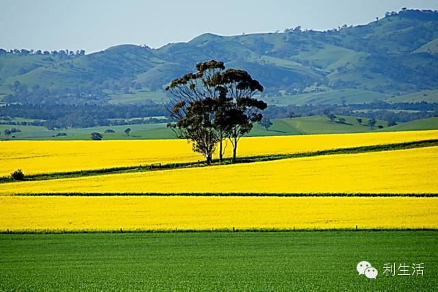 ppt技巧揭秘这些功能您会使用了吗,ppt附加文件