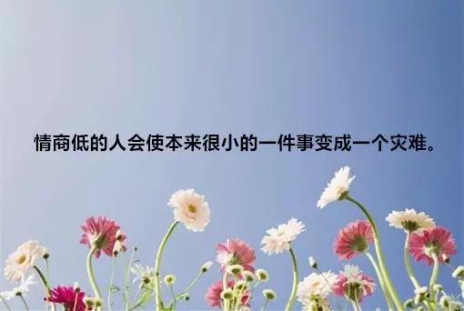 8句话教你读懂自己,8句高情商的话