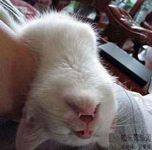 世界睡眠日您睡得还好吗,世界睡眠日揭秘聪明的人都睡得少