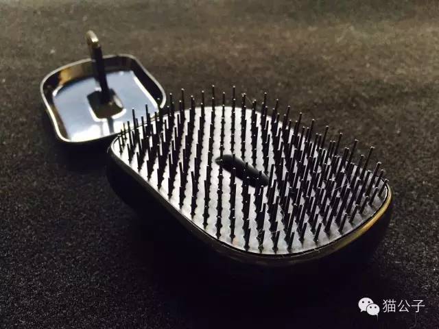 到处都是猫毛,短毛猫梳和长毛梳什么区别