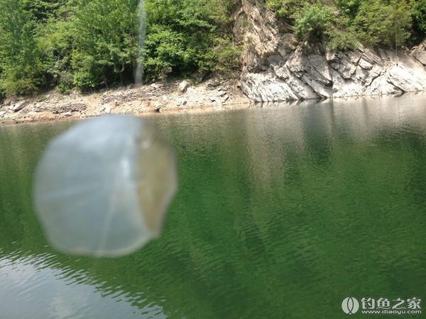 探钓野生鱼视频,探钓野生水库