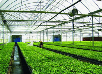 选择农学有N个理由让你信服