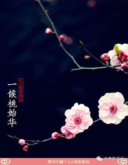 惊蛰二月节书法,惊蛰二月节古诗朗诵