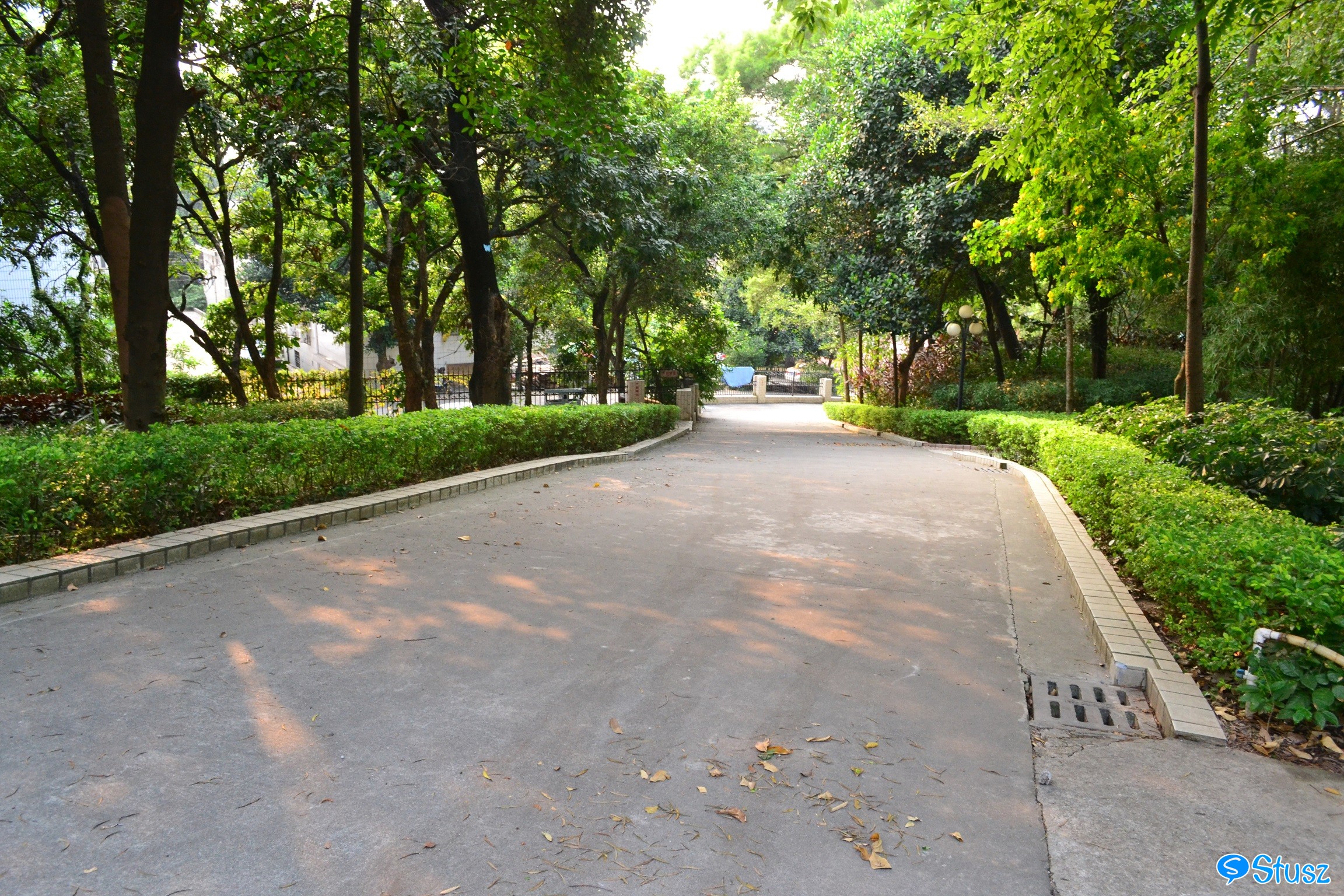 Stusz独家:观澜中学,现代化的百年老校