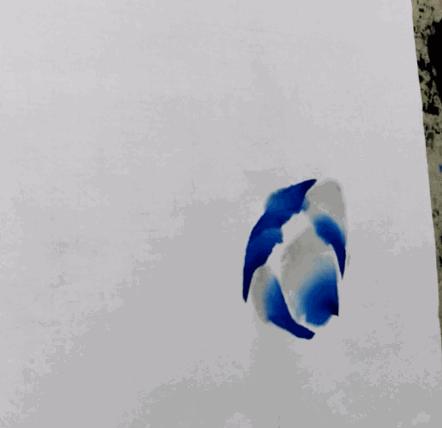 把牡丹种成树,牡丹种在树底下