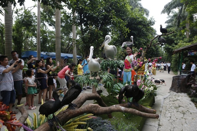 长隆半价|细数长隆里的女神之演员篇