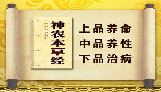 白芷，慈禧太后*用御**的美容主药，有些功效你真想不到！
