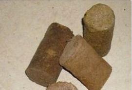 李时珍惊人药方,李时珍尝遍各种草药险些中毒