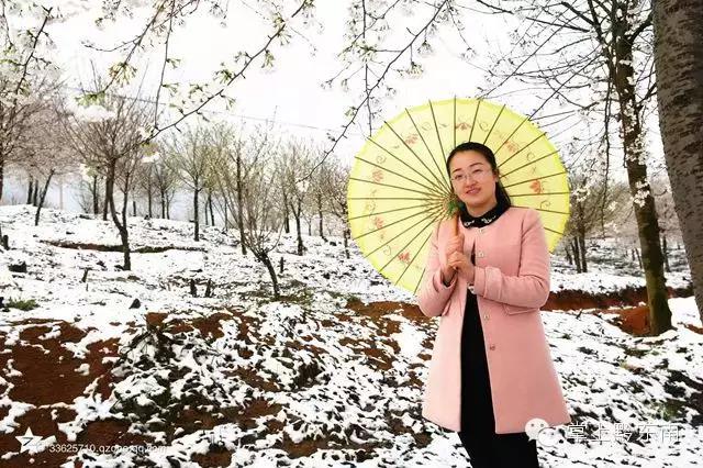 世界观赏樱花的3个地方,看樱花了吗