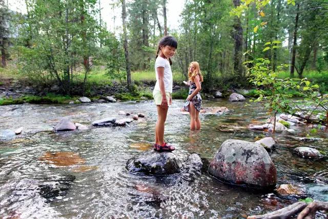 亚细亚孤儿：无处安放的爱与孤独