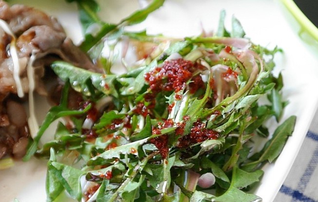 常见野菜吃法做法大全,常见野菜种类吃法