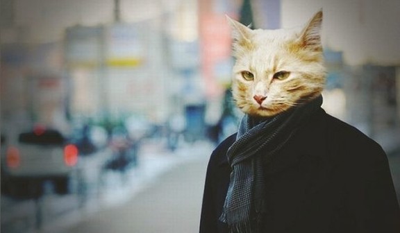 那些年我们一起改编过的诗,那些年我们一起盘过的壶