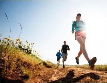 怎么养脾胃健脾胃,护脾胃用什么药