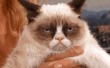 千万不要和烟台人吃饭,你会被逼疯的!