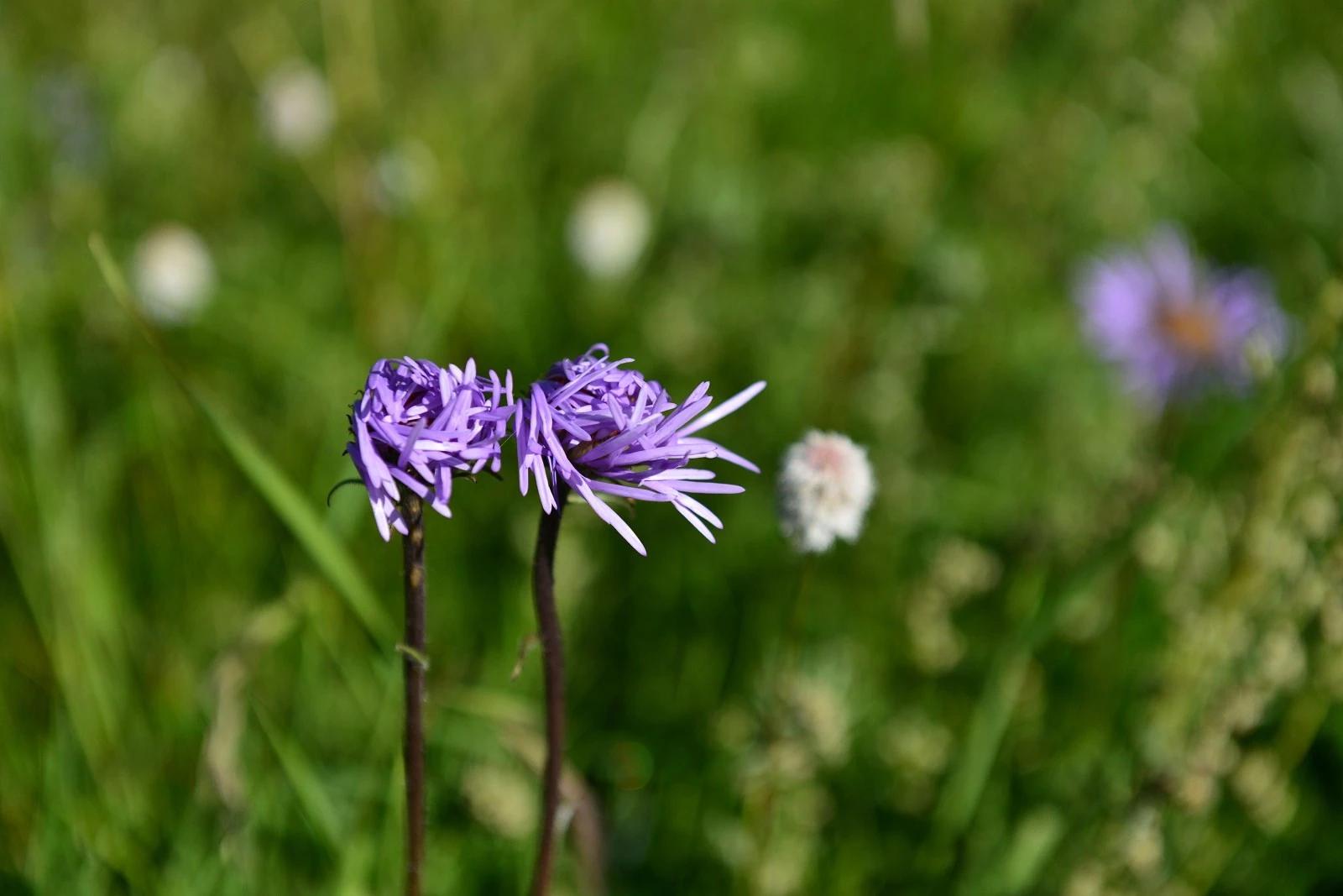 鐏电杞笘闈掓捣,杞笘鐏电闈掓捣