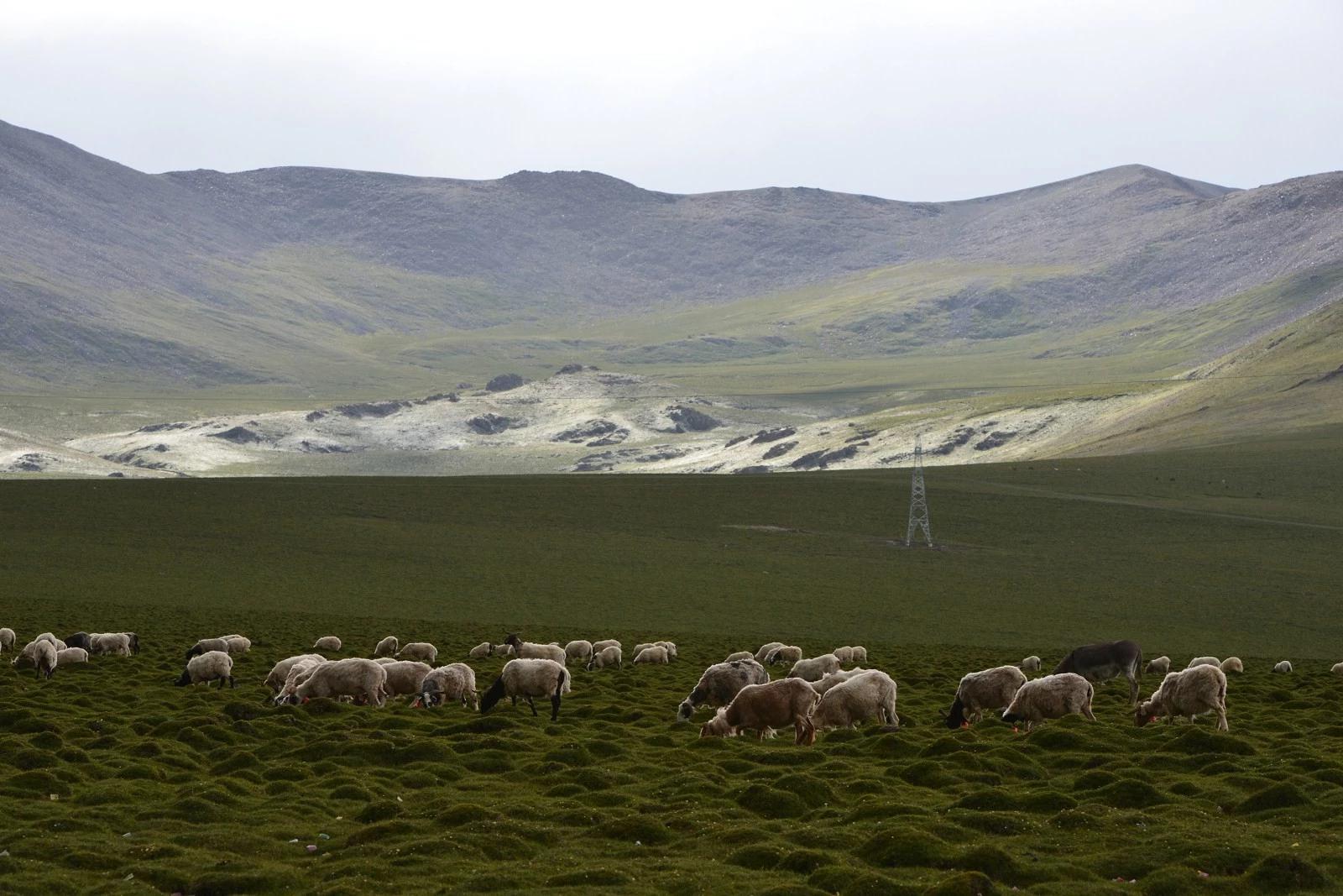 鐏电杞笘闈掓捣,杞笘鐏电闈掓捣
