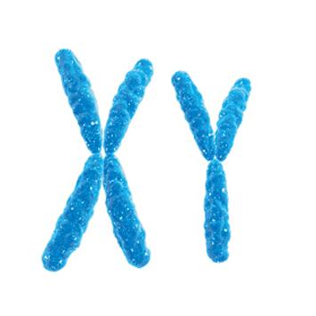 亲子鉴定的基本手段有哪些?