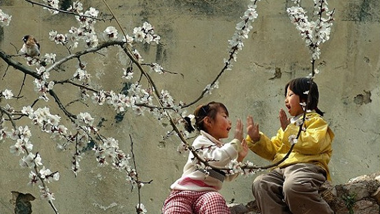 亲近母语、早期阅读都得从“儿歌300”开始---童谣童书推荐