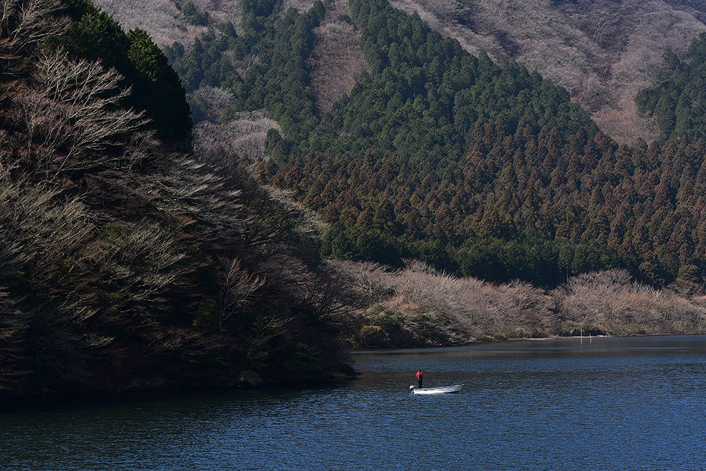 箱根，在玻璃与木头里寻觅艺术