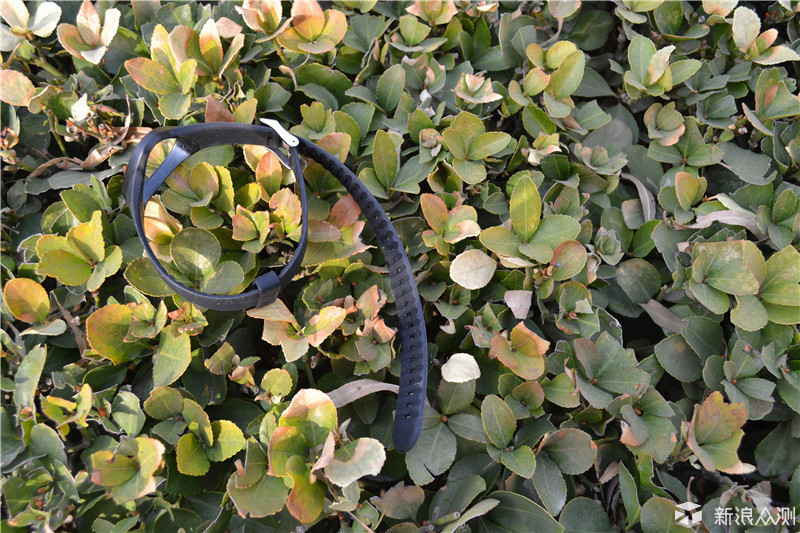 你的私人专属运动教练，wecoachpro手环体验