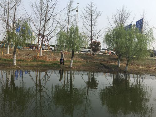 九祥岭湿地公园蛇出没,武汉森林公园蛇