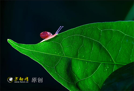 草根创业要做离钱最近的事,草根创业到底从什么地方入手