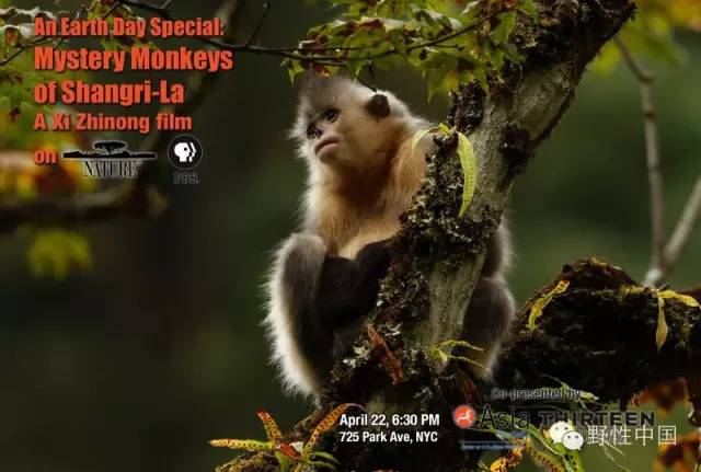 奚志农带队－10天9晚不丹之旅，4月24日出发