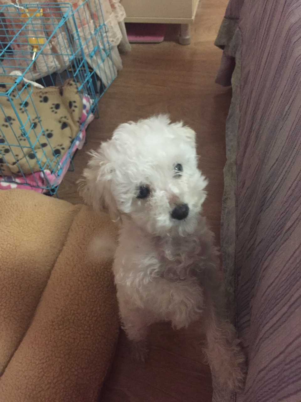 小米粒去汗毛,6-12岁儿童鼻头小米粒怎么消除