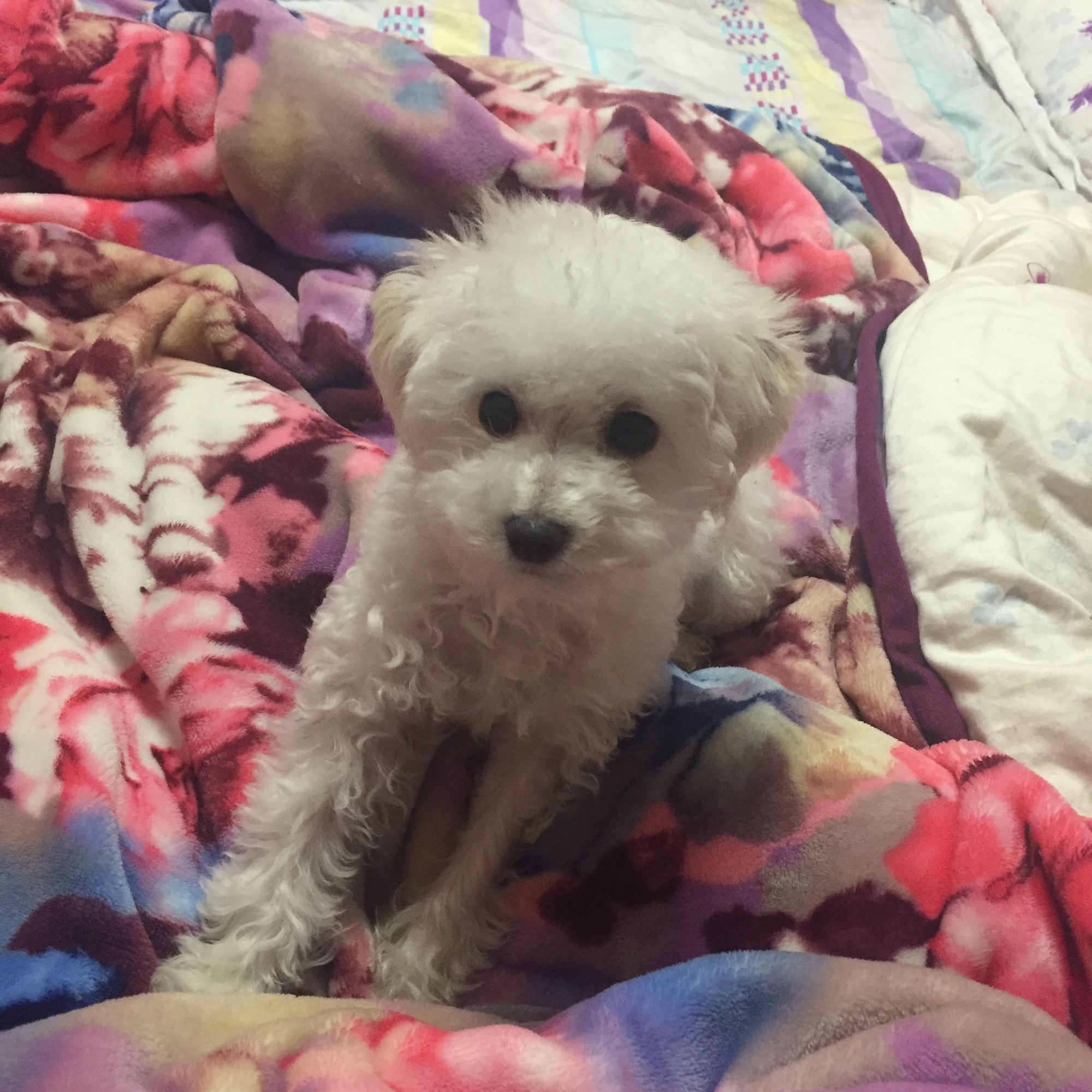 小米粒去汗毛,6-12岁儿童鼻头小米粒怎么消除